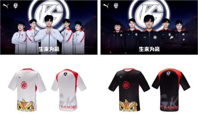 韧带或骨骼 韧带或骨骼